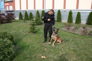 Bros policyjny pies ze swoim przewodnikiem